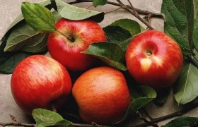 苹果本不叫“苹果”，古人取了个很唯美的名字，被日本人沿用至今