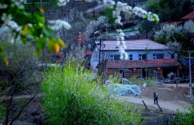 吉林大山里的小村，住的全是山东人，想念老家，却回不来了