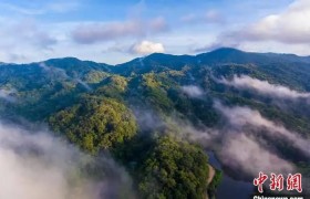 海南热带雨林国家公园生态环境质量保持海南最佳