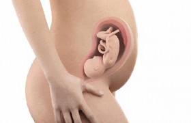 婴儿在母亲肚子里会拉屎拉尿吗？