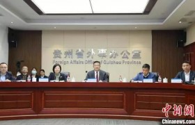 中国贵州省与格鲁吉亚伊梅列季州首次“云连线” 共商友好合作