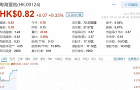 快讯：年报发布翌日，粤海置地涨超9%