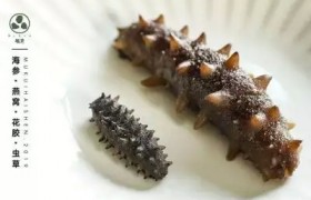 海参豆腐菌菇汤
