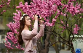 “春和景明”北京圆明园春季主题系列活动拉开帷幕