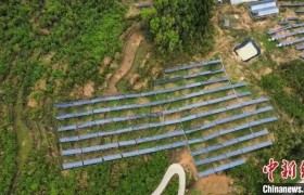 【绿色中国】三峡库区首个“风光农（林）互补”新能源项目：大山“风光”无限好