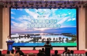 河北省2023年文化进景区专题活动在衡水举办