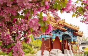 北京世园公园海棠文化节开幕 将持续至5月上旬