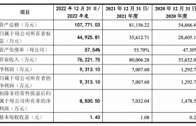 艾芬达2022年增利不增收，资产负债率升达58%