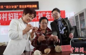 通讯：内蒙古乡村“她时代”创“指尖经济”