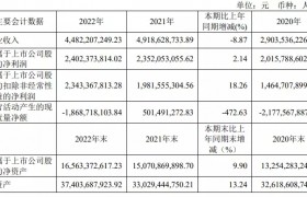 南京高科：2022年净利24亿元，地产销售额下滑20% | 年报