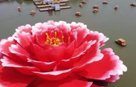 河南洛阳绽放直径36米巨型“牡丹花”