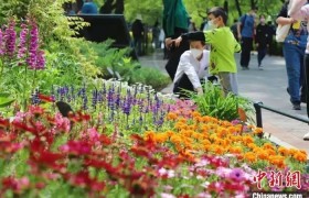“五一”假期北京市属公园接待游客295.37万人次