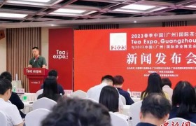 中国茶叶产量稳增 广东成为双料“第一”茶叶大省