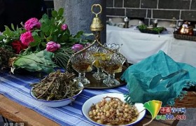 土耳其举办草药烹饪大赛