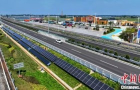 专家学者齐聚山东 共探交通能源绿色融合发展