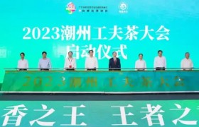 龙宇翔出席2023潮州工夫茶大会开幕式