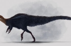1.1亿年历史！巴西发现的第一种非鸟类恐龙化石将返回巴西