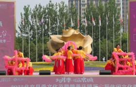 北京月季文化节今日启动  全市八大展区精彩纷呈