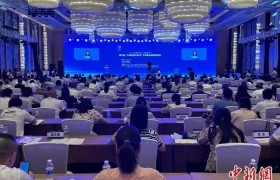 第五届“中国造隐形冠军”长青峰会在湖南株洲举行