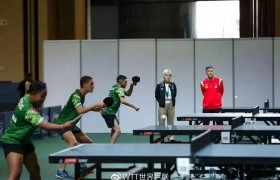 北京时间5月20日，乒乓球传来马龙、陈梦、刘志强最新消息