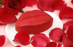 520浪漫野莓巧克力慕斯