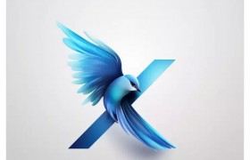 Twitter 新 Logo 公布，马斯克换头像官宣