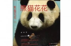 开启美妙熊猫之旅，《熊猫花花》将亮相第31届书博会