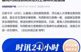 河北省人大常委会原党组成员、副主任王雪峰被决定逮捕