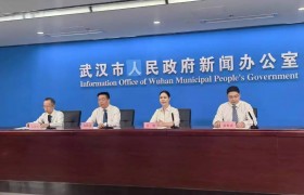 武汉仲裁委员会数字经济仲裁院正式设立，服务数字经济发展