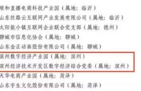 滨州两家入选山东省2023年度互联网行业党建示范点名单