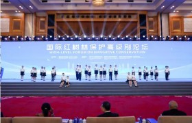 中国首次举办国际红树林保护高级别论坛