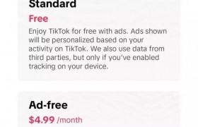 代码显示TikTok正在测试无广告订阅服务，月费暂定为4.99美元