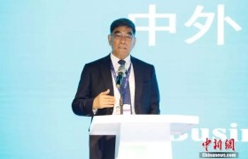 傅成玉：中国的企业家要走绿色发展全面转型之路播报文章语音播报文章，释放双眼