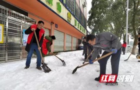 雪中见温情 政协勇担当 岳阳市政协系统积极参与清障扫雪除冰行动