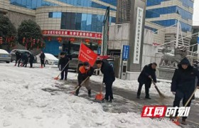 这场“雪仗”，岳阳经开区税务局志愿服务者申请出战！